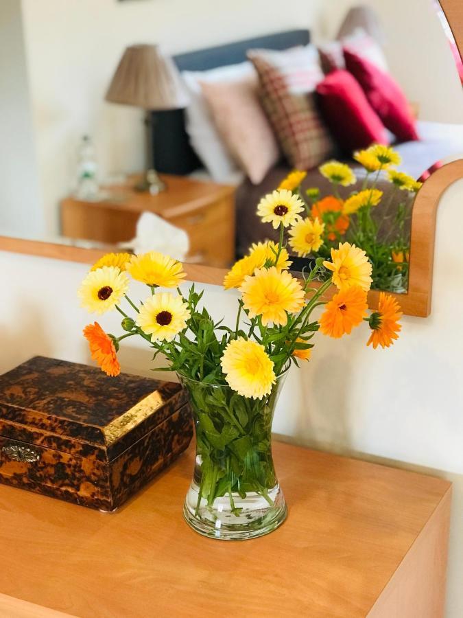 Charming Hen Cottage Countryside Retreat Lincoln Newball Εξωτερικό φωτογραφία