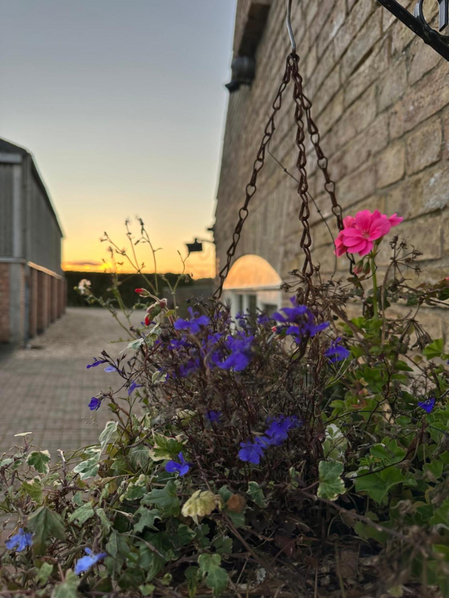 Charming Hen Cottage Countryside Retreat Lincoln Newball Εξωτερικό φωτογραφία